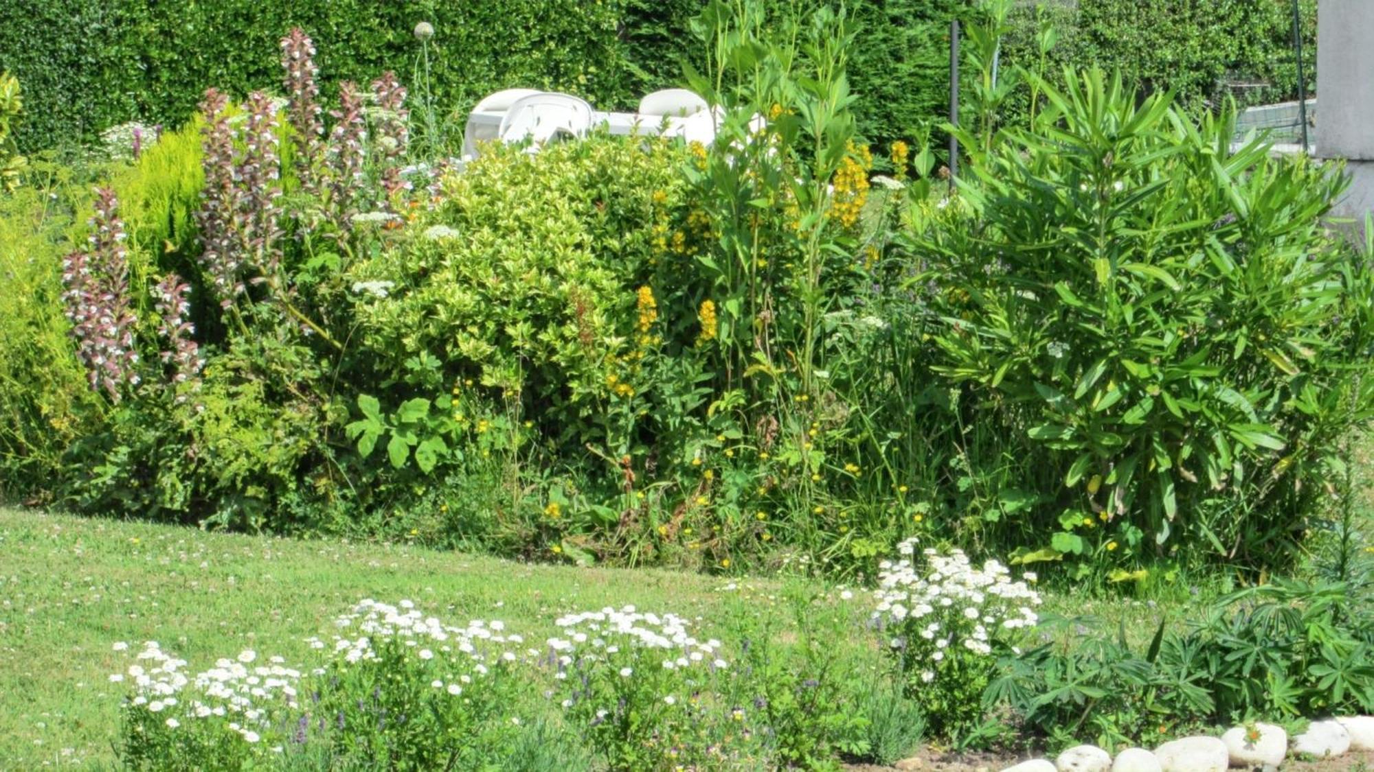 Studio Charmant A Vierville Sur Mer 30M² Avec Jardin Buitenkant foto